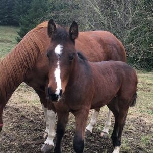 Meet your Posher, Max